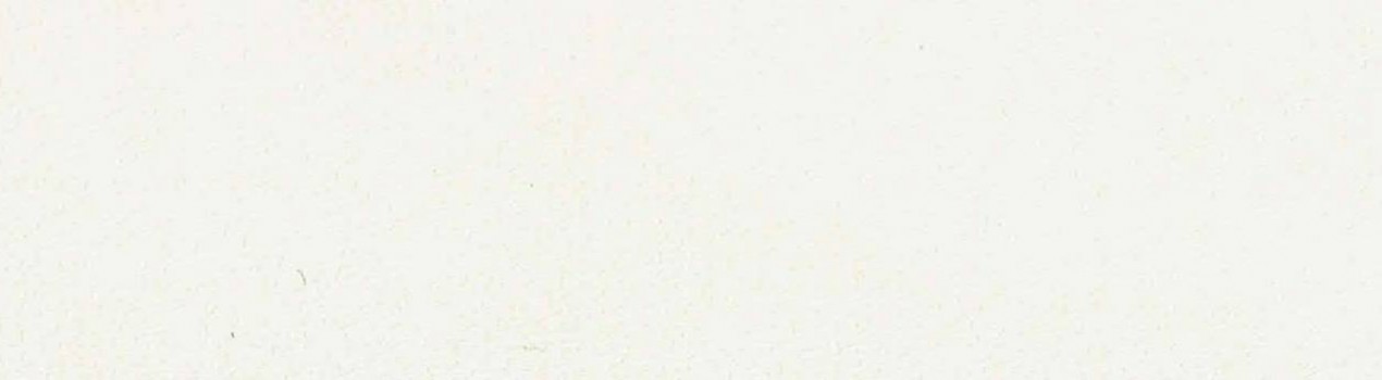 Fildişi Melamin Kenar Bandı Fildişi Melamin Kenar Bandı